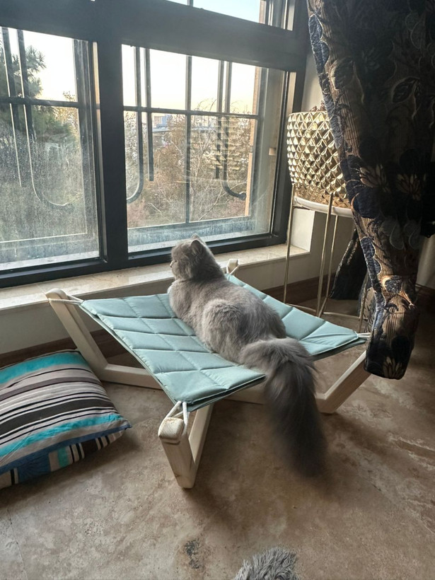 گهواره چوبی گربه